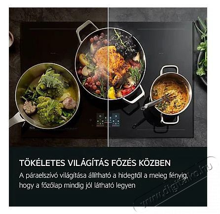 AEG GDP866PB Konyhai term&eacute;kek - P&aacute;raelsz&iacute;v&oacute; - Be&eacute;p&iacute;thető / kih&uacute;zhat&oacute; - 515071