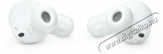 AKG N5 Hybrid TWS White Audio-Video / Hifi / Multim&eacute;dia - F&uuml;l &eacute;s Fejhallgat&oacute;k - F&uuml;lhallgat&oacute; mikrofonnal / headset - 524083