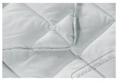 Alcam mikrosz&aacute;las ny&aacute;ri paplan, 140 x 200 H&aacute;ztart&aacute;s / Otthon / K&uuml;lt&eacute;r - Egy&eacute;b h&aacute;ztart&aacute;si term&eacute;k - 535935