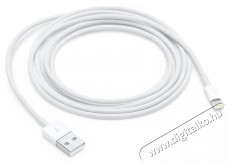 Apple Lightning to USB Cable 2m Mobil / Kommunik&aacute;ci&oacute; / Smart - Mobiltelefon kieg&eacute;sz&iacute;tő / tok - K&aacute;bel / &aacute;talak&iacute;t&oacute; - 503320