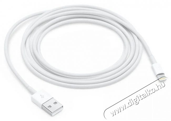 Apple Lightning to USB Cable 2m Mobil / Kommunik&aacute;ci&oacute; / Smart - Mobiltelefon kieg&eacute;sz&iacute;tő / tok - K&aacute;bel / &aacute;talak&iacute;t&oacute; - 503320