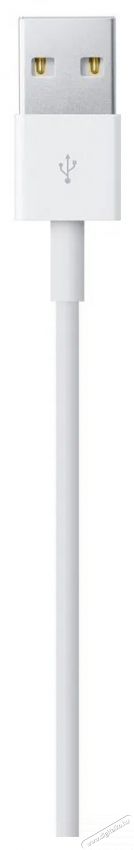 Apple Lightning to USB Cable 2m Mobil / Kommunik&aacute;ci&oacute; / Smart - Mobiltelefon kieg&eacute;sz&iacute;tő / tok - K&aacute;bel / &aacute;talak&iacute;t&oacute; - 503320