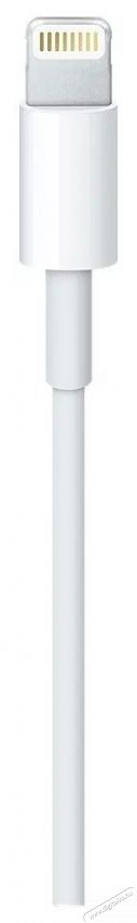 Apple Lightning to USB Cable 2m Mobil / Kommunik&aacute;ci&oacute; / Smart - Mobiltelefon kieg&eacute;sz&iacute;tő / tok - K&aacute;bel / &aacute;talak&iacute;t&oacute; - 503320