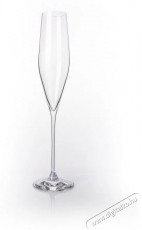 B.BOHEMIAN SENECA prosecco / pezsgőspoh&aacute;r szett - 190 ml, 4 db Konyhai term&eacute;kek - Konyhai eszk&ouml;z - K&eacute;szlet / szett - 523916