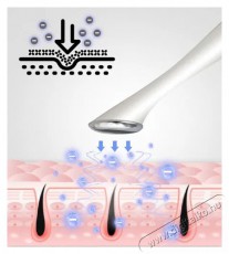 BeautyRelax Creambooster Sz&eacute;ps&eacute;g&aacute;pol&aacute;s / Eg&eacute;szs&eacute;g - Egy&eacute;b sz&eacute;ps&eacute;g / eg&eacute;szs&eacute;g term&eacute;k - 511763
