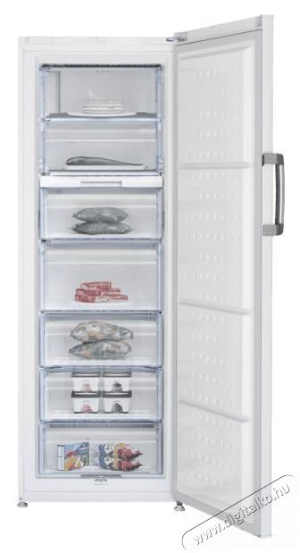 Beko FS127340N fagyaszt&oacute;szekr&eacute;ny Konyhai term&eacute;kek - Hűtő, fagyaszt&oacute; (szabadon&aacute;ll&oacute;) - Fagyaszt&oacute;szekr&eacute;ny - 499682