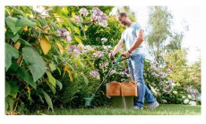 Bosch EasyGrassCut 18V-230 akkumul&aacute;toros fűszeg&eacute;lyny&iacute;r&oacute; H&aacute;ztart&aacute;s / Otthon / K&uuml;lt&eacute;r - K&uuml;lt&eacute;r / kerti term&eacute;k / grill - Motoros fűkasza / szeg&eacute;lyny&iacute;r&oacute; - 386905