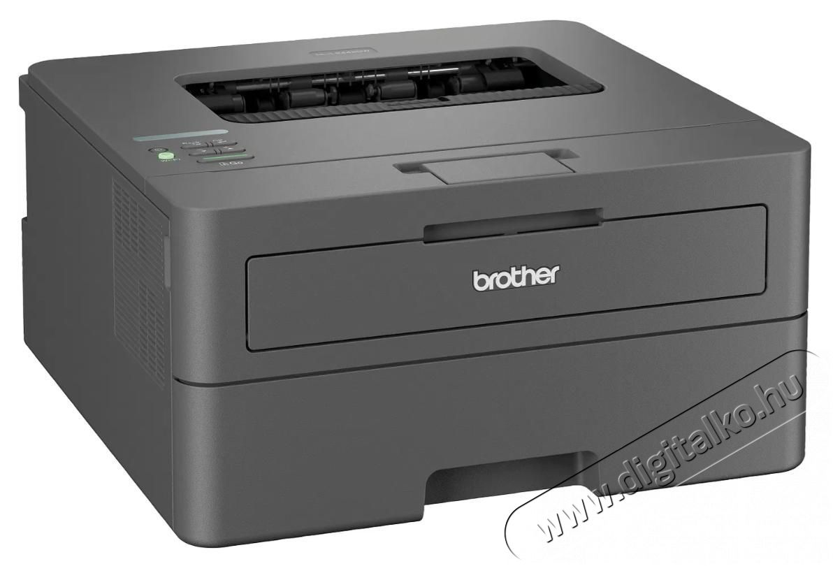 Brother HL-L2442DW Nyomtat&oacute; Iroda &eacute;s sz&aacute;m&iacute;t&aacute;stechnika - Nyomtat&oacute; - L&eacute;zer - 530568