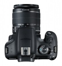 CANON EOS 2000D + 18-55mm f/3,5-5,6 EF-S DC III Digit&aacute;lis f&eacute;nyk&eacute;pezőg&eacute;p F&eacute;nyk&eacute;pezőg&eacute;p / kamera - DSLR t&uuml;k&ouml;rreflexes f&eacute;nyk&eacute;pezőg&eacute;p - 349748