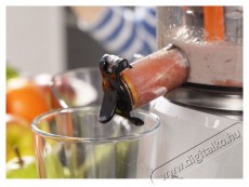 Concept LO-7066 Home Made Juice Konyhai term&eacute;kek - Konyhai kisg&eacute;p (elők&eacute;sz&iacute;t&eacute;s / feldolgoz&aacute;s) - Gy&uuml;m&ouml;lcs centrifuga / pr&eacute;s - 523325