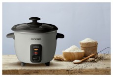 Concept RE1010 350W Konyhai kisg&eacute;p (s&uuml;t&eacute;s / főz&eacute;s / hűt&eacute;s / &eacute;telk&eacute;sz&iacute;t&eacute;s) Konyhai term&eacute;kek - Konyhai kisg&eacute;p (s&uuml;t&eacute;s / főz&eacute;s / hűt&eacute;s / &eacute;telk&eacute;sz&iacute;t&eacute;s) - Rizsfőző - 523310