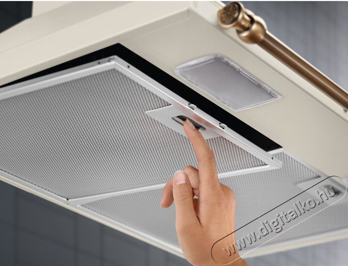 Electrolux EFC226V P&aacute;raelsz&iacute;v&oacute; Konyhai term&eacute;kek - P&aacute;raelsz&iacute;v&oacute; - K&uuml;rtős - 362666