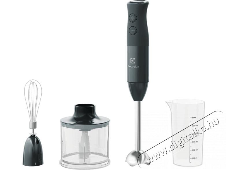 Electrolux E4HB1-6GG botmixer Konyhai term&eacute;kek - Konyhai kisg&eacute;p (elők&eacute;sz&iacute;t&eacute;s / feldolgoz&aacute;s) - Botmixer - 378319