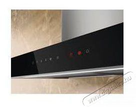 Electrolux 700 Breeze LFT829X Konyhai term&eacute;kek - P&aacute;raelsz&iacute;v&oacute; - K&uuml;rtős - 509731
