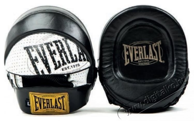 Everlast 1910 Patte dOurs Pont&uuml;tő kesztyű H&aacute;ztart&aacute;s / Otthon / K&uuml;lt&eacute;r - J&aacute;t&eacute;k / Sport - Kieg&eacute;sz&iacute;tő - 533356