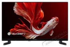 Gogen TVH 32P381T Telev&iacute;zi&oacute;k - LED telev&iacute;zi&oacute; - 720p HD Ready felbont&aacute;s&uacute; - 518724