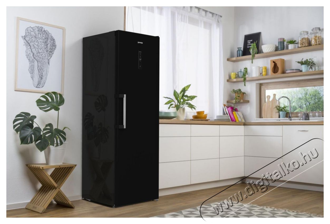 Gorenje R619EABK6 Egyajt&oacute;s, alulfagyaszt&oacute;s hűtőszekr&eacute;ny Konyhai term&eacute;kek - Hűtő, fagyaszt&oacute; (szabadon&aacute;ll&oacute;) - Egyajt&oacute;s hűtő - 386576