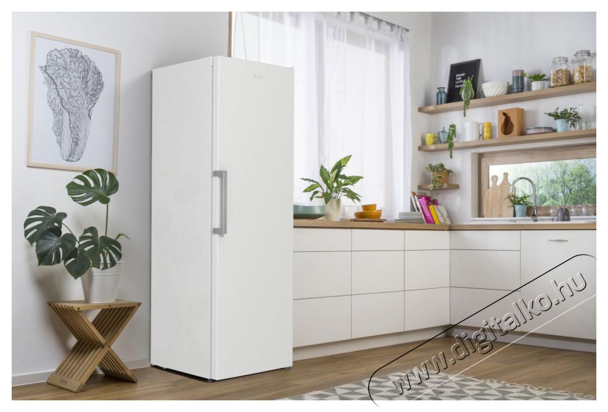 Gorenje R619EEW5 egyajt&oacute;s hűtőszekr&eacute;ny Konyhai term&eacute;kek - Hűtő, fagyaszt&oacute; (szabadon&aacute;ll&oacute;) - Egyajt&oacute;s hűtő - 386577