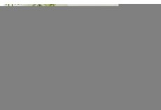 Gorenje SVC222230AEW akkus &aacute;ll&oacute; porsz&iacute;v&oacute; H&aacute;ztart&aacute;s / Otthon / K&uuml;lt&eacute;r - Porsz&iacute;v&oacute; / takar&iacute;t&oacute;g&eacute;p - K&eacute;zi / &aacute;ll&oacute; porsz&iacute;v&oacute; - 531510