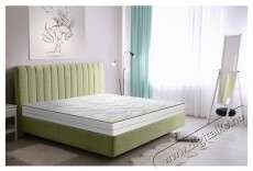 Green Future Aloe Vera Dual Comfort Ortop&eacute;d matrac, 160x200x25 cm, poliuret&aacute;n mem&oacute;riahab 4 cm, 7 komfortz&oacute;na, hipoallerg&eacute;n, megford&iacute;that&oacute;, k&ouml;zepes kem&eacute;nys&eacute;gű Sz&eacute;ps&eacute;g&aacute;pol&aacute;s / Eg&eacute;szs&eacute;g - Egy&eacute;b sz&eacute;ps&eacute;g / eg&eacute;szs&eacute;g term&eacute;k - 536626