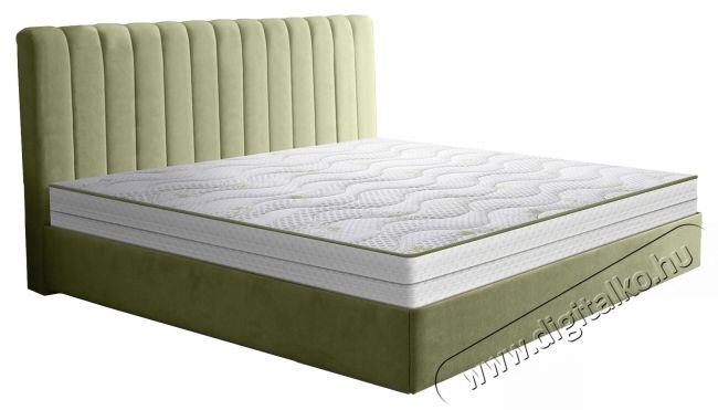 Green Future Aloe Vera Dual Comfort Ortop&eacute;d matrac, 160x200x25 cm, poliuret&aacute;n mem&oacute;riahab 4 cm, 7 komfortz&oacute;na, hipoallerg&eacute;n, megford&iacute;that&oacute;, k&ouml;zepes kem&eacute;nys&eacute;gű Sz&eacute;ps&eacute;g&aacute;pol&aacute;s / Eg&eacute;szs&eacute;g - Egy&eacute;b sz&eacute;ps&eacute;g / eg&eacute;szs&eacute;g term&eacute;k - 536626