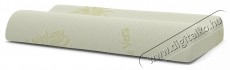 Green Future Soft Memory Latex Aloe Vera P&aacute;rna, 41 x 60 x 11 cm Sz&eacute;ps&eacute;g&aacute;pol&aacute;s / Eg&eacute;szs&eacute;g - Egy&eacute;b sz&eacute;ps&eacute;g / eg&eacute;szs&eacute;g term&eacute;k - 536623
