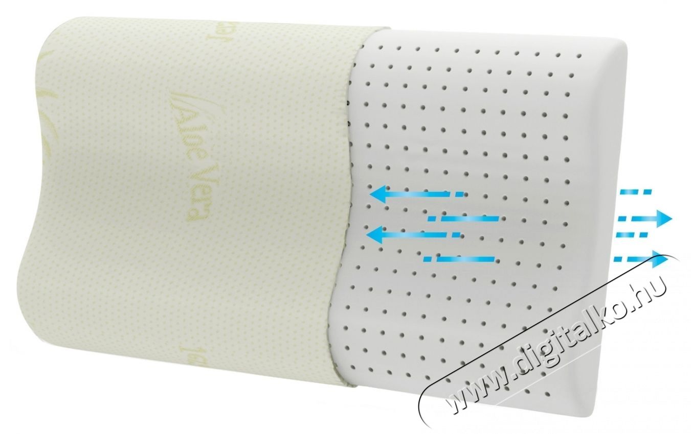 Green Future Soft Memory Latex Aloe Vera P&aacute;rna, 41 x 60 x 11 cm Sz&eacute;ps&eacute;g&aacute;pol&aacute;s / Eg&eacute;szs&eacute;g - Egy&eacute;b sz&eacute;ps&eacute;g / eg&eacute;szs&eacute;g term&eacute;k - 536623