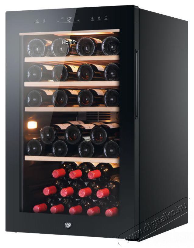 Haier HWS32GDG WINE BANK 50 SERIES 5 Konyhai term&eacute;kek - Hűtő, fagyaszt&oacute; (szabadon&aacute;ll&oacute;) - Borhűtő - 509799