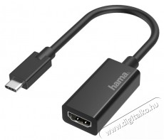 Hama 205160 FIC Ultra HD (4K) USB-C - HDMI adapter Tv kieg&eacute;sz&iacute;tők - K&aacute;bel / csatlakoz&oacute; - Csatlakoz&oacute; / eloszt&oacute; / &aacute;talak&iacute;t&oacute; - 379867