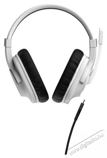 Hama SoundZ 100 V2 Gaming Headset, white (217857) Audio-Video / Hifi / Multim&eacute;dia - F&uuml;l &eacute;s Fejhallgat&oacute;k - Fejhallgat&oacute; mikrofonnal / headset - 493687