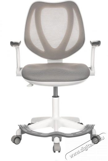 HOMEPRO Cambria, sz&uuml;rke h&aacute;l&oacute;s Iroda &eacute;s sz&aacute;m&iacute;t&aacute;stechnika - Egy&eacute;b sz&aacute;m&iacute;t&aacute;stechnikai term&eacute;k - 518356