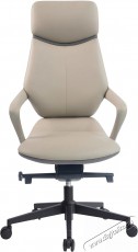 HOMEPRO Thorin, sz&uuml;rke &ouml;kobőr - Iroda &eacute;s sz&aacute;m&iacute;t&aacute;stechnika - Egy&eacute;b sz&aacute;m&iacute;t&aacute;stechnikai term&eacute;k - 518359