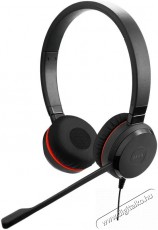 Jabra Evolve 20 MS Stereo USB-A SE Audio-Video / Hifi / Multim&eacute;dia - F&uuml;l &eacute;s Fejhallgat&oacute;k - Fejhallgat&oacute; mikrofonnal / headset - 509983