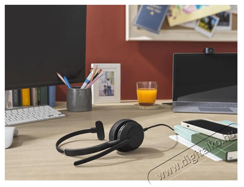 Jabra Evolve2 50 USB-A MS Mono Audio-Video / Hifi / Multim&eacute;dia - F&uuml;l &eacute;s Fejhallgat&oacute;k - Fejhallgat&oacute; - 518811