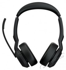 Jabra Evolve2 55, Link380/390a UC Stereo Audio-Video / Hifi / Multim&eacute;dia - F&uuml;l &eacute;s Fejhallgat&oacute;k - Fejhallgat&oacute; mikrofonnal / headset - 529605