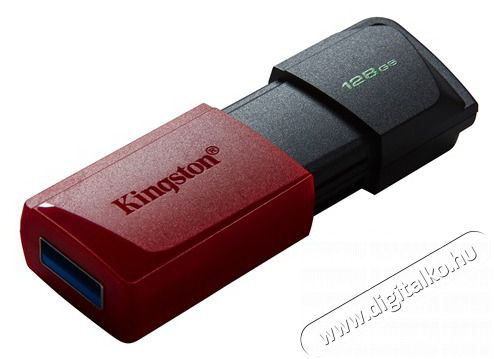 Kingston 128GB USB3.2 DataTraveler Exodia M (DTXM/128GB) Flash Drive Mem&oacute;ria k&aacute;rtya / Pendrive - Pendrive - 398741