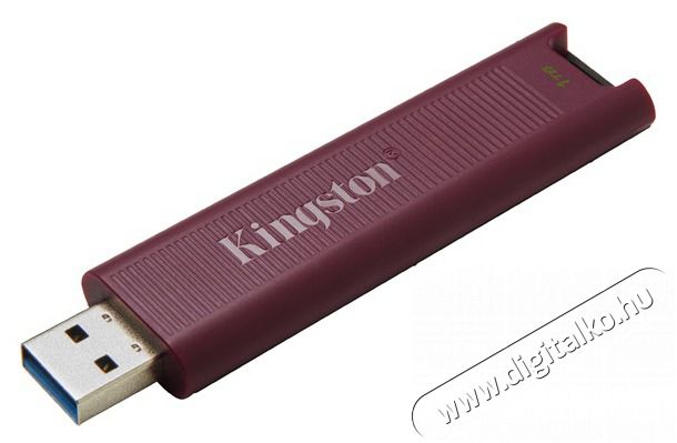 Kingston 1TB USB3.2 Type-A DataTraveler Max (DTMAXA/1TB) Flash Drive Mem&oacute;ria k&aacute;rtya / Pendrive - Pendrive - 456360