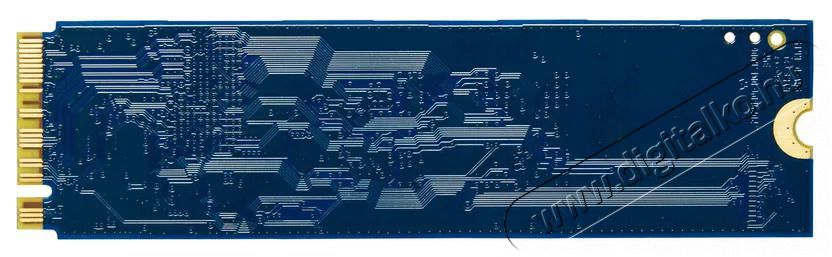 Kingston NV3 1TB Iroda &eacute;s sz&aacute;m&iacute;t&aacute;stechnika - Adatt&aacute;rol&oacute; / merevlemez - SSD - 522216