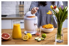 Lauben 110WT Electric Citrus Juicer (LBNECJ110WT) Konyhai term&eacute;kek - Konyhai kisg&eacute;p (elők&eacute;sz&iacute;t&eacute;s / feldolgoz&aacute;s) - Citrus / gy&uuml;m&ouml;lcs facsar&oacute; - 497644