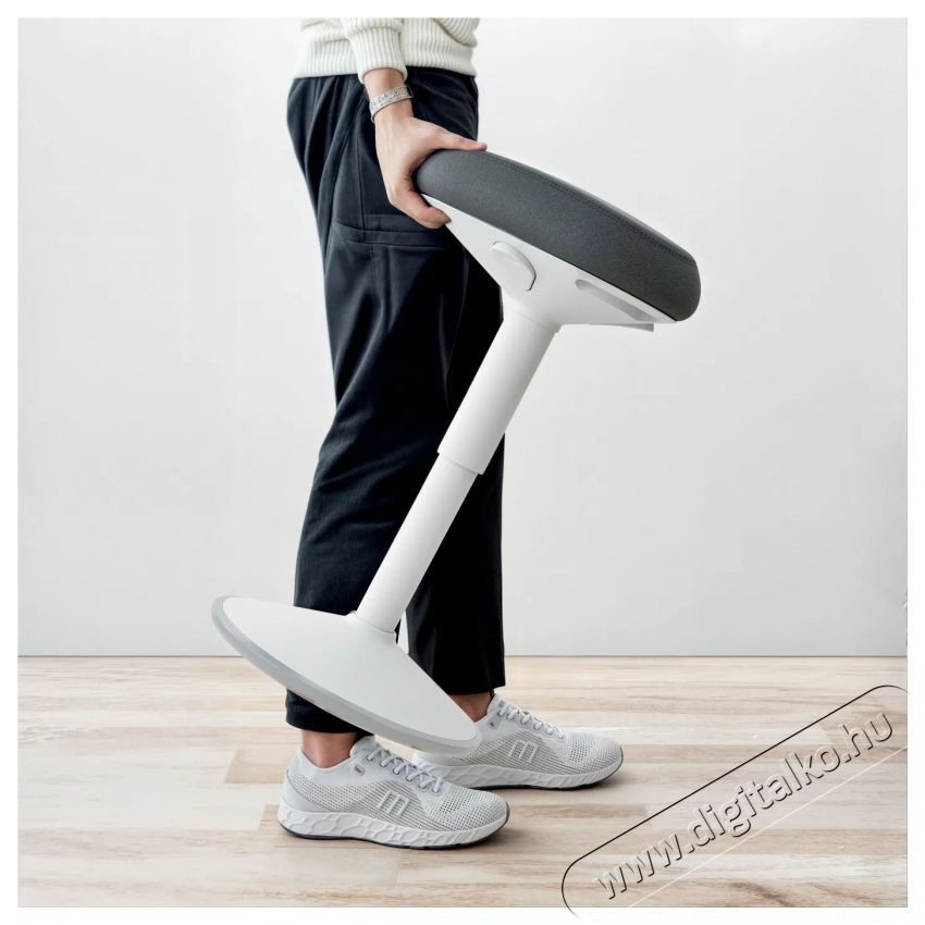 Leitz ERGO Active Standing Stook - vil&aacute;gossz&uuml;rke irodasz&eacute;k Iroda &eacute;s sz&aacute;m&iacute;t&aacute;stechnika - Egy&eacute;b sz&aacute;m&iacute;t&aacute;stechnikai term&eacute;k - 522352