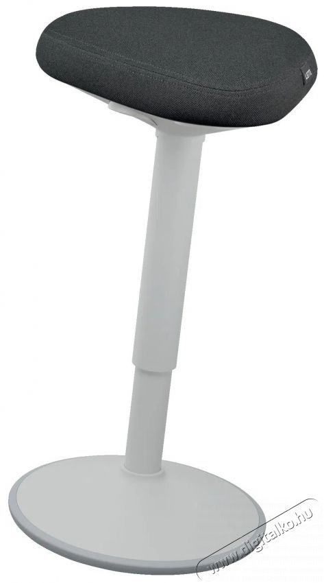 Leitz ERGO Active Standing Stook - vil&aacute;gossz&uuml;rke irodasz&eacute;k Iroda &eacute;s sz&aacute;m&iacute;t&aacute;stechnika - Egy&eacute;b sz&aacute;m&iacute;t&aacute;stechnikai term&eacute;k - 522352