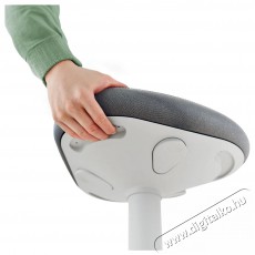 Leitz ERGO Active Standing Stook - vil&aacute;gossz&uuml;rke irodasz&eacute;k Iroda &eacute;s sz&aacute;m&iacute;t&aacute;stechnika - Egy&eacute;b sz&aacute;m&iacute;t&aacute;stechnikai term&eacute;k - 522352