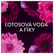 LENOR Lotus Flower   Diamond Figs 1,97 l (94 mos&aacute;s) H&aacute;ztart&aacute;s / Otthon / K&uuml;lt&eacute;r - Mos&oacute;g&eacute;p / sz&aacute;r&iacute;t&oacute;g&eacute;p - Kieg&eacute;sz&iacute;tő - 537902