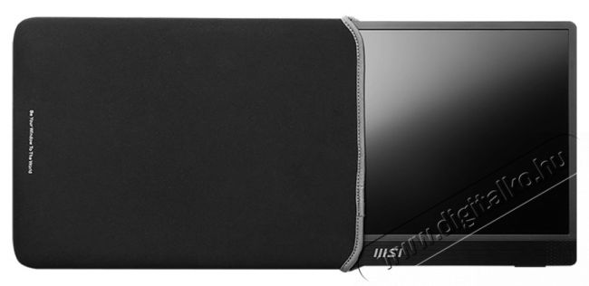 MSI PRO MP161 E2 hordozhat&oacute; IPS, 15,6 Full HD, 60 Hz, 2 x USB Type C &eacute;s mini-HDMI, 4 ms, hangsz&oacute;r&oacute; Iroda &eacute;s sz&aacute;m&iacute;t&aacute;stechnika - Monitor - Monitor - 534422