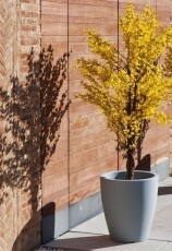 NG Violeta 30 32x30cm kasp&oacute; - k&eacute;k - H&aacute;ztart&aacute;s / Otthon / K&uuml;lt&eacute;r - Egy&eacute;b h&aacute;ztart&aacute;si term&eacute;k - 360959