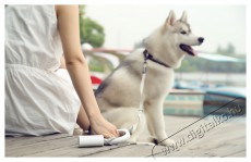 PetKit kutya t&aacute;ska kont&eacute;ner  Dog Waste Bag H&aacute;ztart&aacute;s / Otthon / K&uuml;lt&eacute;r - Egy&eacute;b h&aacute;ztart&aacute;si term&eacute;k - 493168