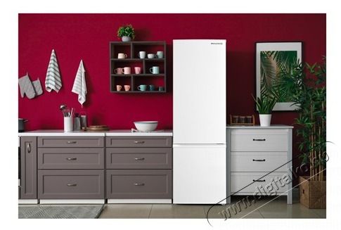 Philco PCS 262 EW HŰTŐ ALULFAGYASZT&Oacute;S Konyhai term&eacute;kek - Hűtő, fagyaszt&oacute; (szabadon&aacute;ll&oacute;) - Alulfagyaszt&oacute;s kombin&aacute;lt hűtő - 502902