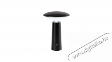 R&Aacute;BALUX 77147 POLPERRO K&Uuml;LT&Eacute;RI ASZTALI L&Aacute;MPA LED 3 W H&aacute;ztart&aacute;s / Otthon / K&uuml;lt&eacute;r - Vil&aacute;g&iacute;t&aacute;s / elektromoss&aacute;g - Kerti / k&uuml;lt&eacute;ri l&aacute;mpa - 517830