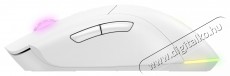 Rapture COBRA, feh&eacute;r Iroda &eacute;s sz&aacute;m&iacute;t&aacute;stechnika - Eg&eacute;r - Vezet&eacute;k n&eacute;lk&uuml;li eg&eacute;r - 535634