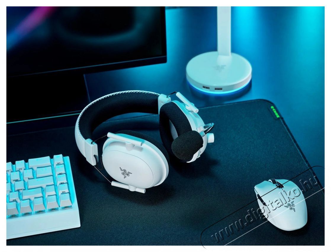 Razer Blackshark V2 Pro - White Ed. Audio-Video / Hifi / Multim&eacute;dia - F&uuml;l &eacute;s Fejhallgat&oacute;k - Fejhallgat&oacute; - 494255